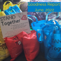 June 2022 - The GOODness Report